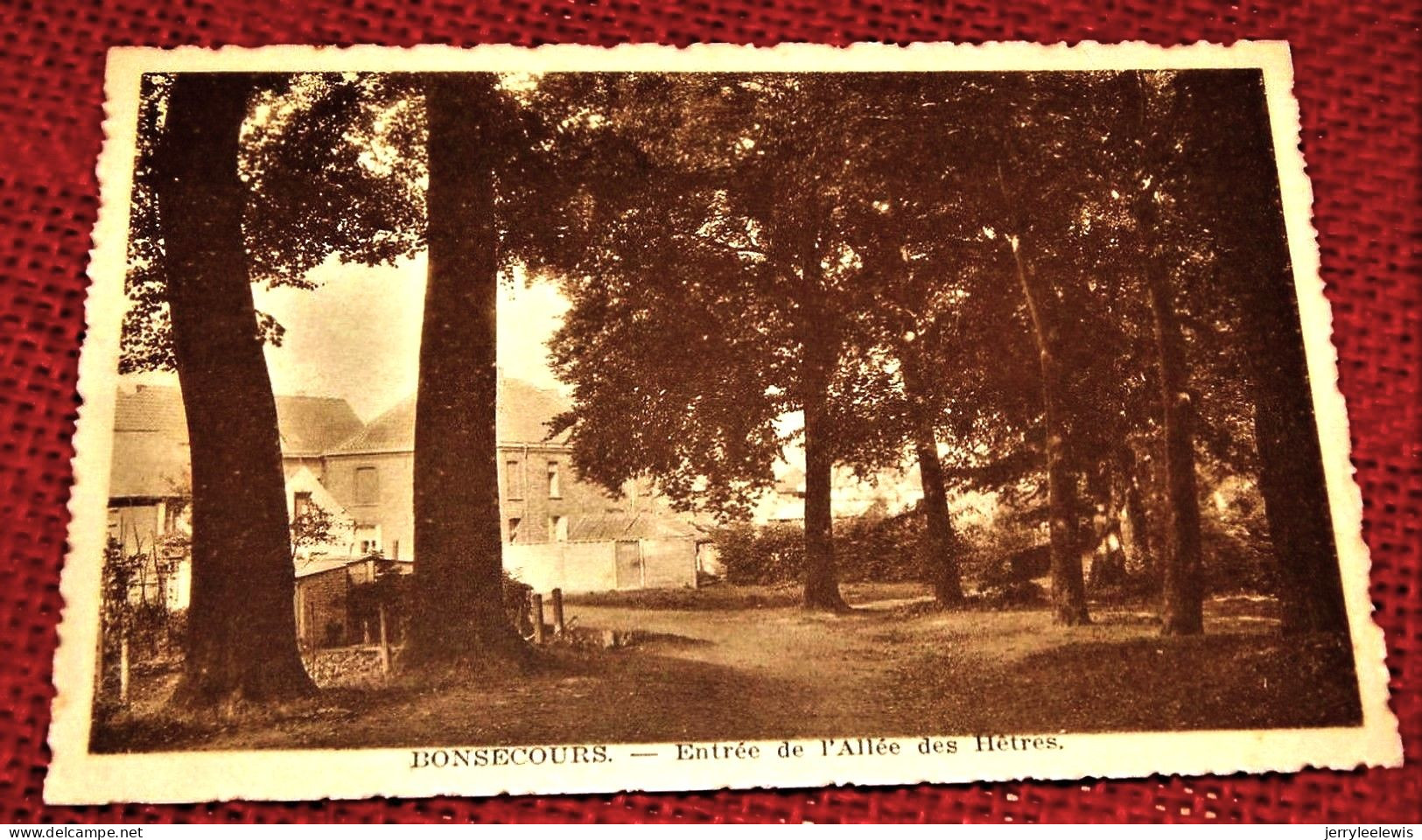 BONSECOURS  -  Entrée De L'Allée Des Hêtres - Péruwelz