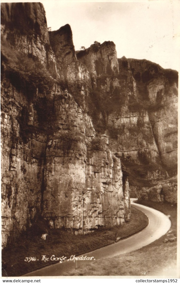 CHEDDAR, SOMERSET, GORGE, ENGLAND, UNITED KINGDOM, POSTCARD - Cheddar