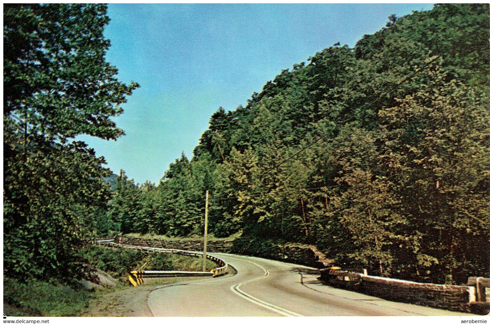 Rip Van Winkle Trail / Catskill Mountains, N.Y. - Rutas Americanas