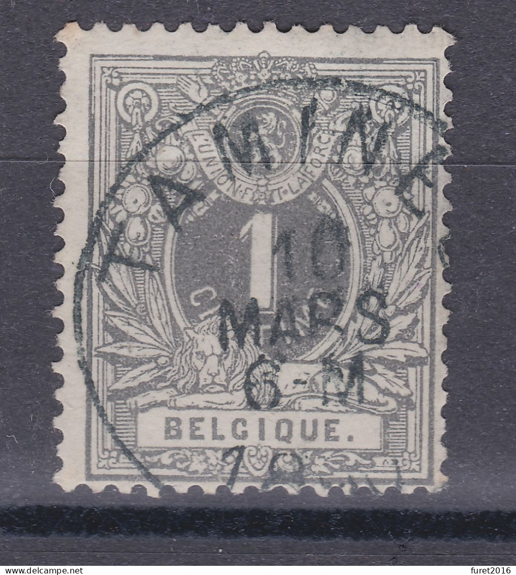 N° 43 TAMINES - 1869-1888 Lion Couché