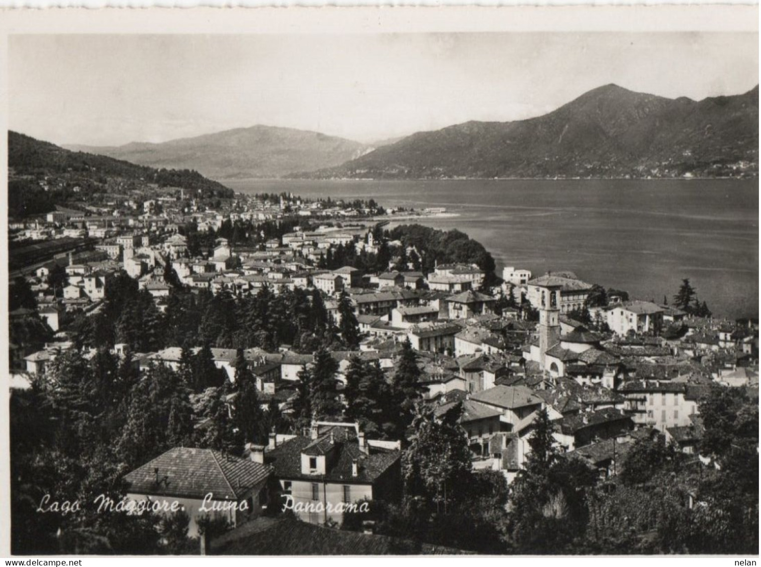 LAGO MAGGIORE - LUINO - PANORAMA - F.G. - Luino