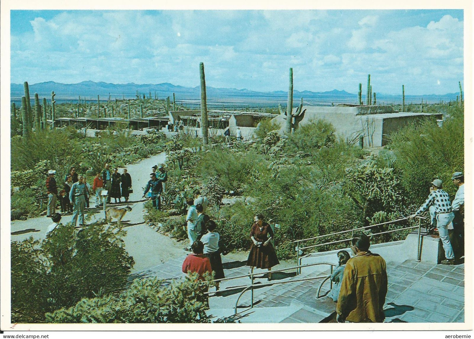 ARIZONA - Sonora Deert Museum / Ramada (Porch) - Autres & Non Classés