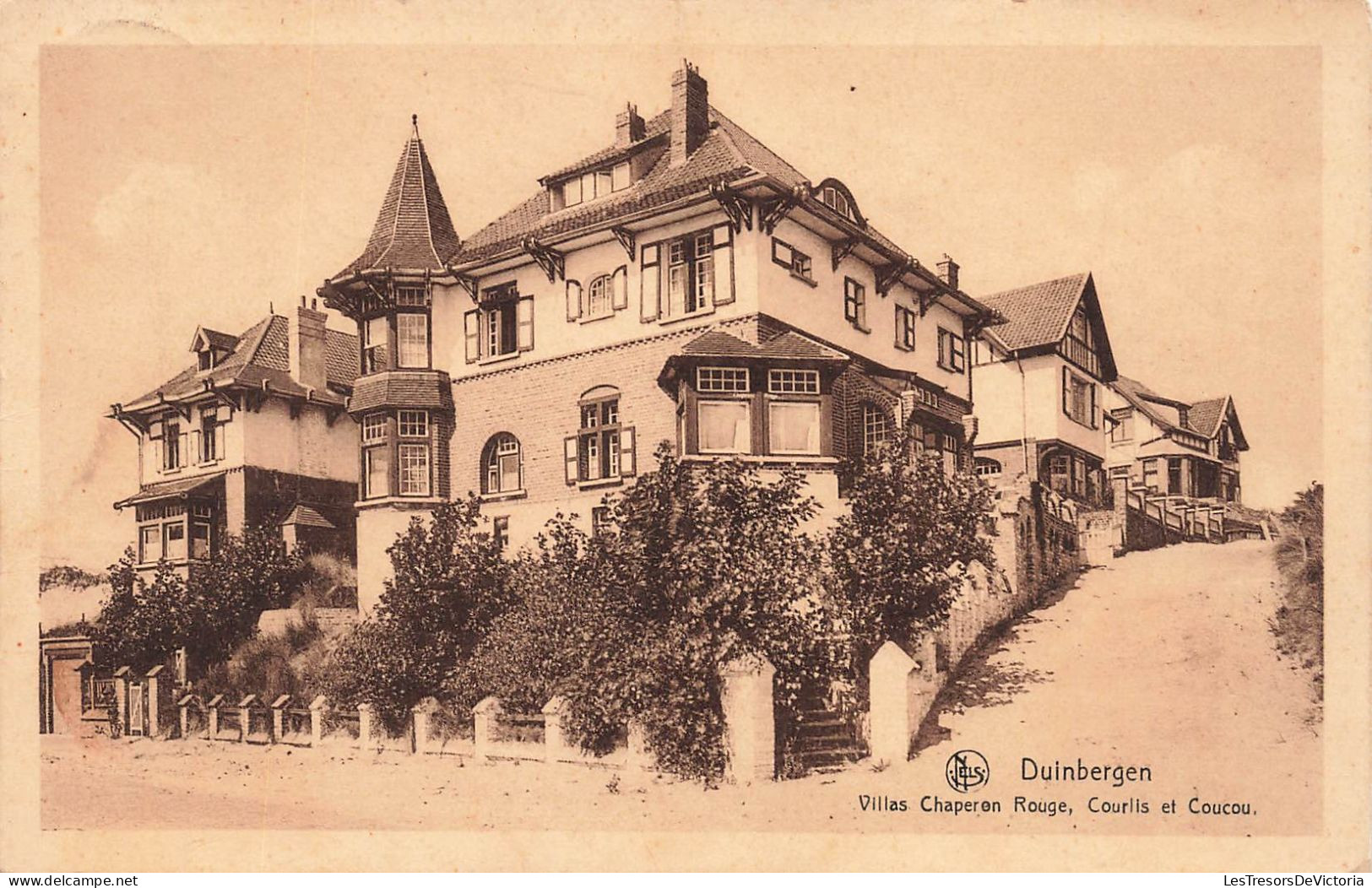 BELGIQUE - Duinbergen - Villas Chaperon Rouge, Courlis Et Coucou - Carte Postale Ancienne - Knokke