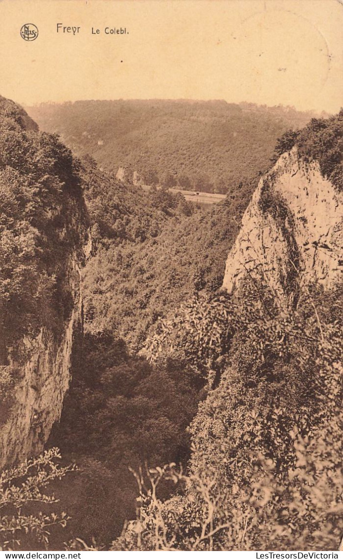 BELGIQUE - Freyr - Le Colebl - Gorges - Forêt - Carte Postale Ancienne - Hastière