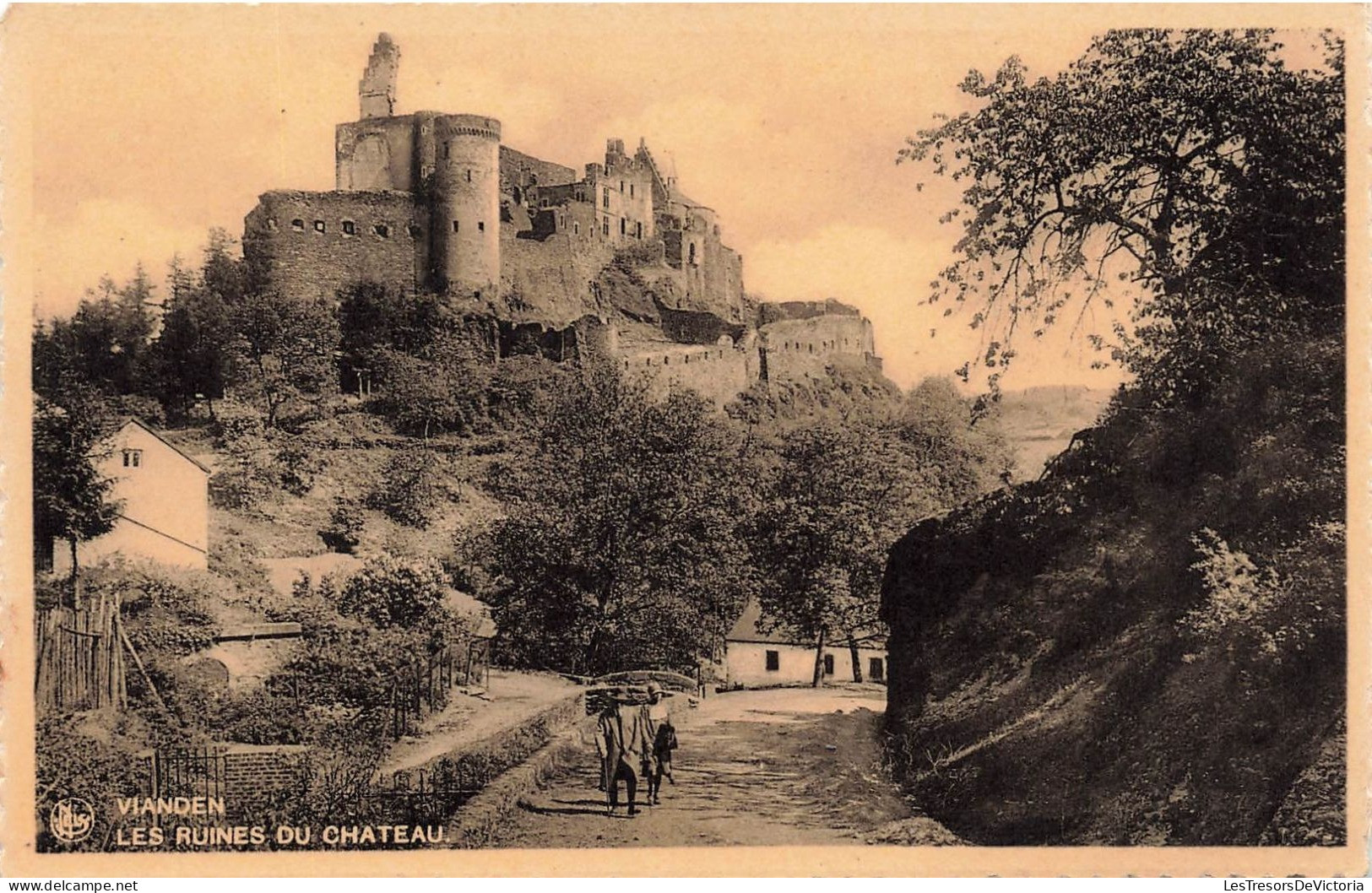 LUXEMBOURG - Vianden - Les Ruines Du Château - Campagnes  - Carte Postale Ancienne - Vianden