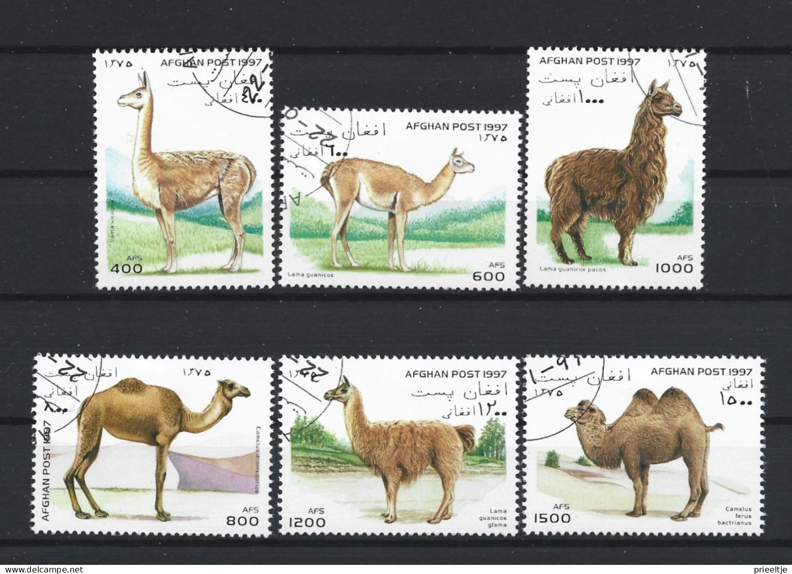 Afghanistan 1997 Camels  Y.T. 1519/1524 (0) - Afghanistan