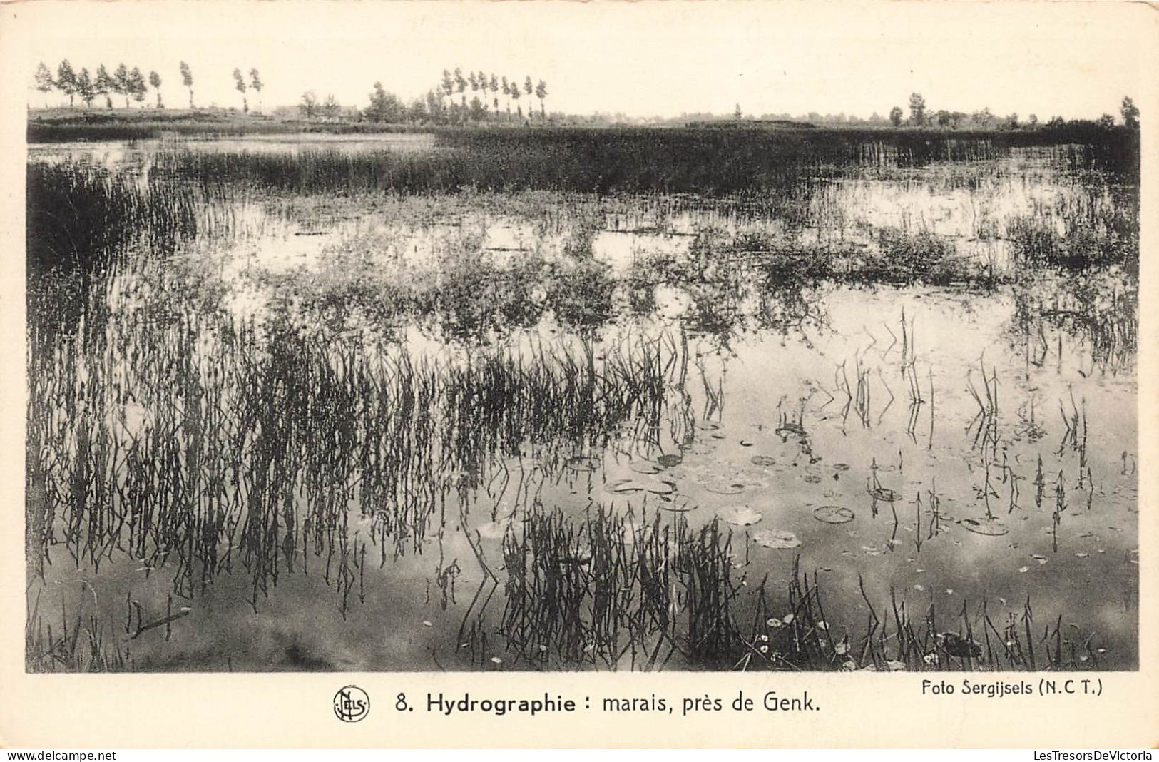 BELGIQUE - Les Paysages Belges - La Campine - Hydrographie - Marais Près De Genck - Nels - Carte Postale Ancienne - Genk