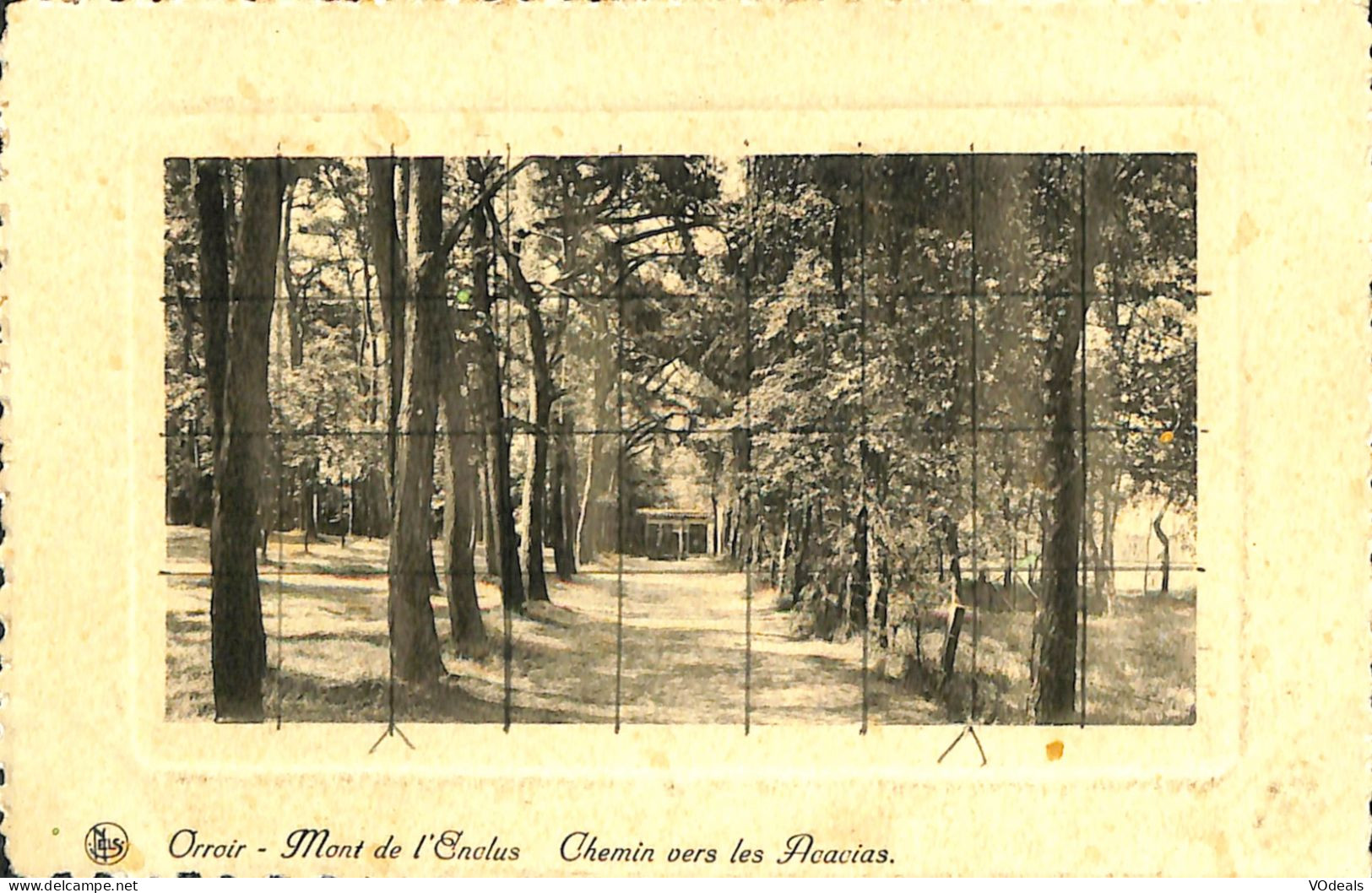 Belgique - Hainaut - Mont De L'Enclus - Chemin Vers Les Acacias - Kluisbergen