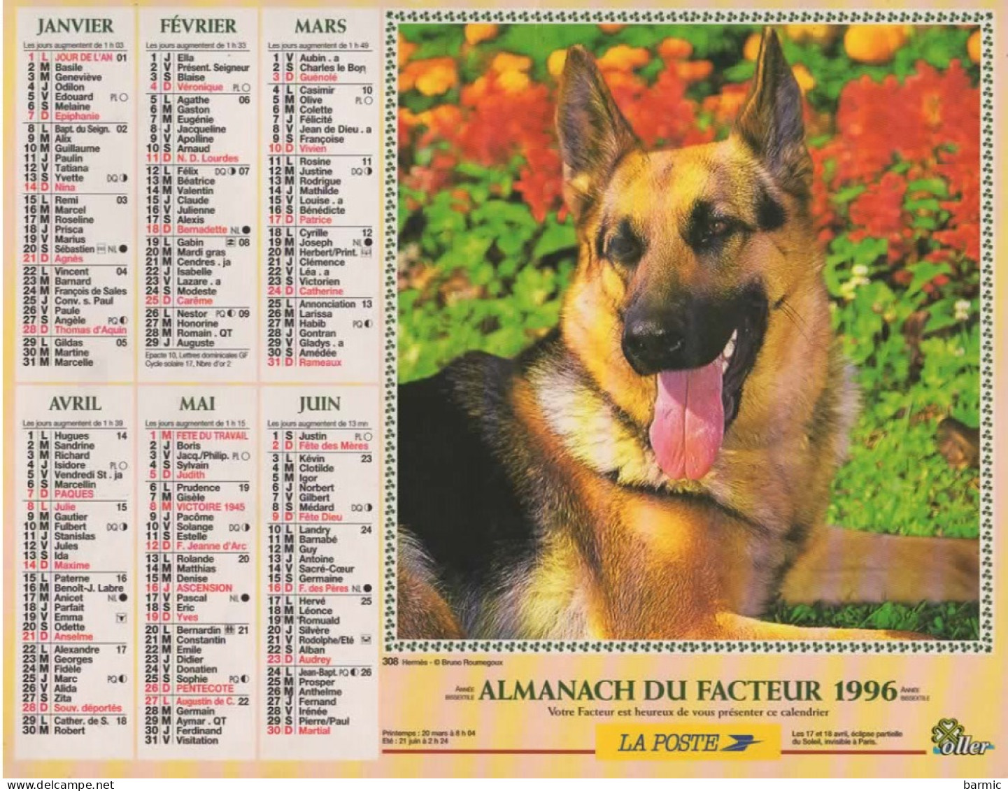 CALENDRIER ANNEE 1996, COMPLET, CHEVAL, BERGER ALLEMAND COULEUR  REF 14381 - Grossformat : 1991-00