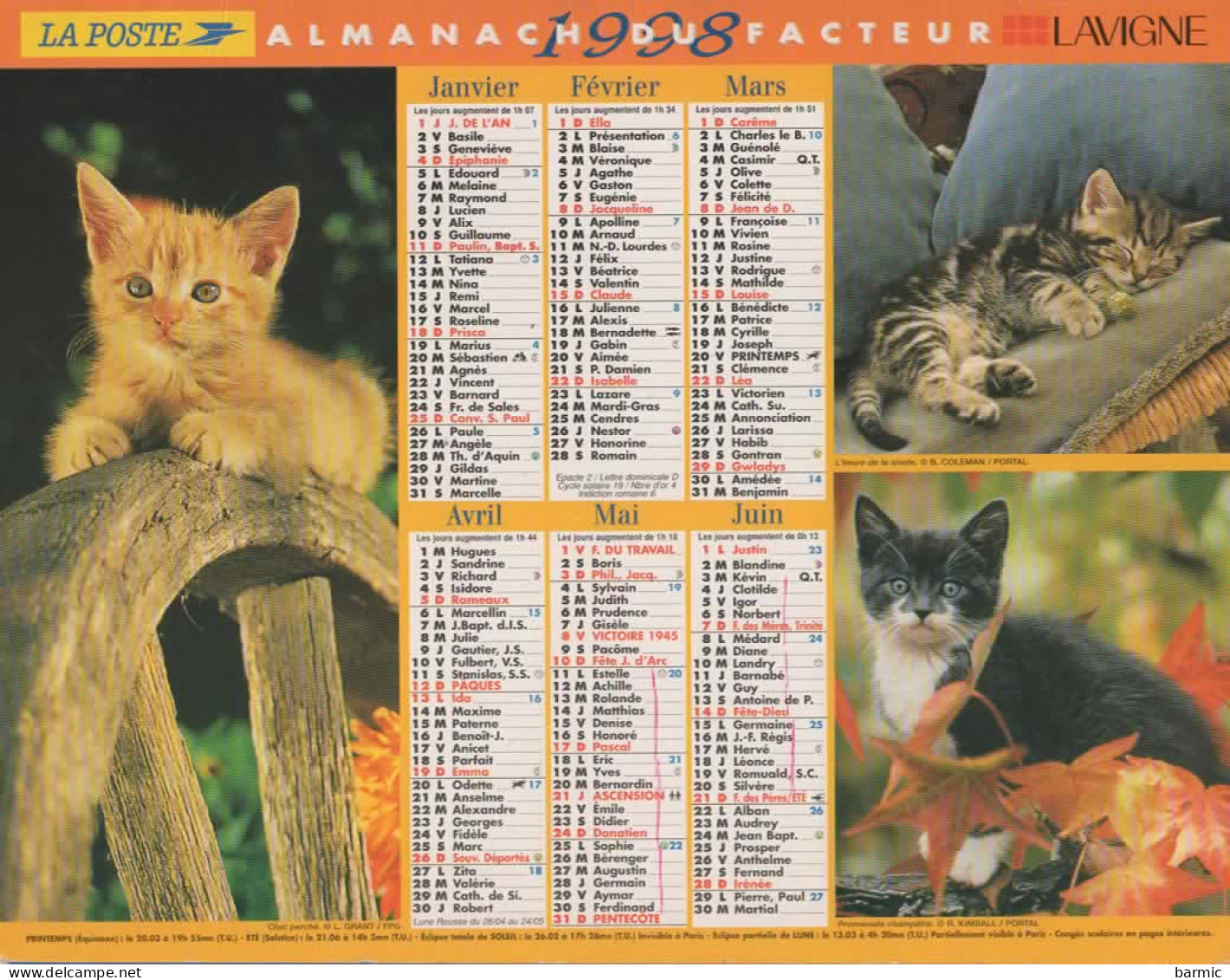 CALENDRIER ANNEE 1998, COMPLET, CHATONS, CHIOTS COULEUR  REF 14382 - Big : 1991-00