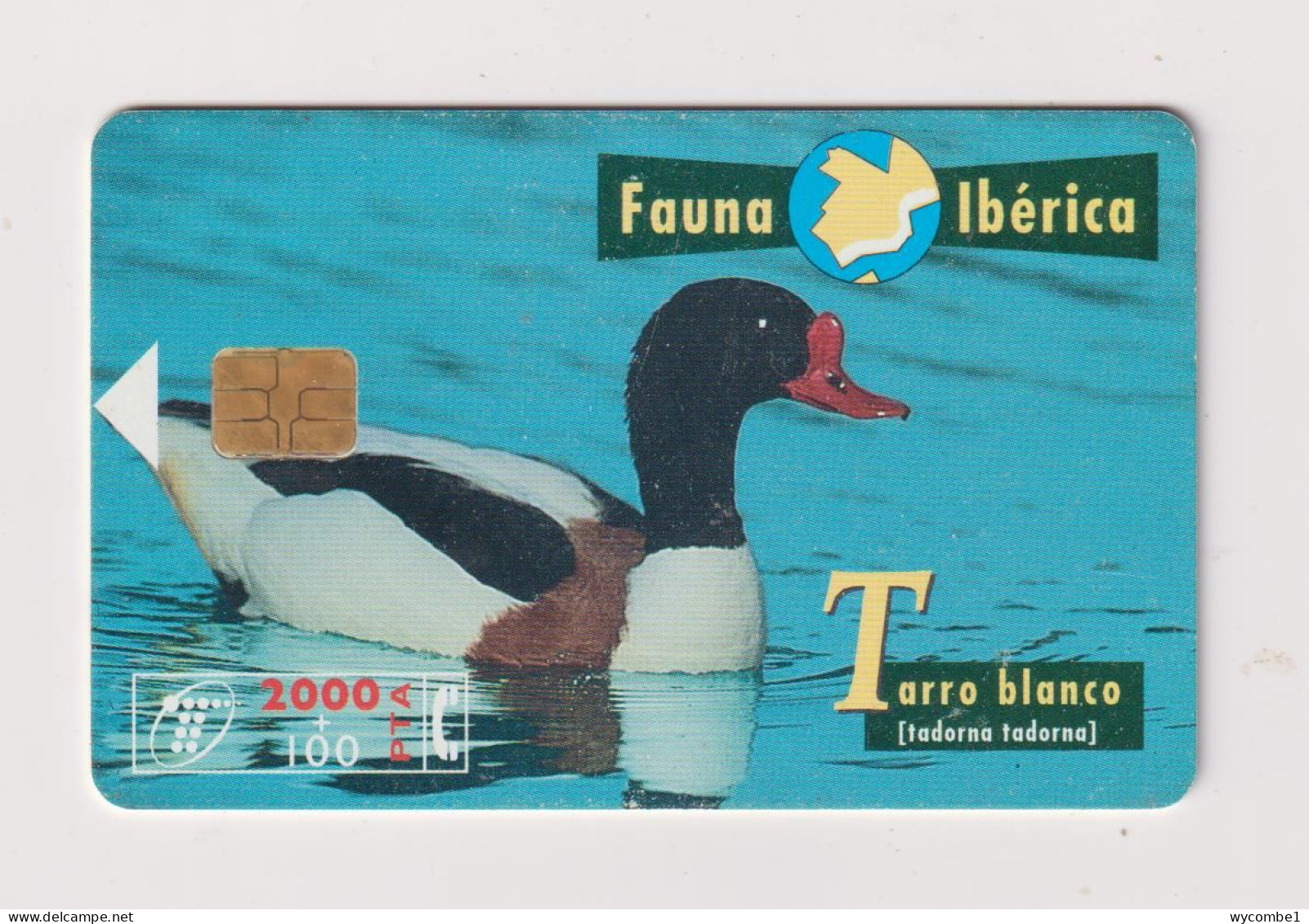 SPAIN - Common Shelduck Chip Phonecard - Werbekarten