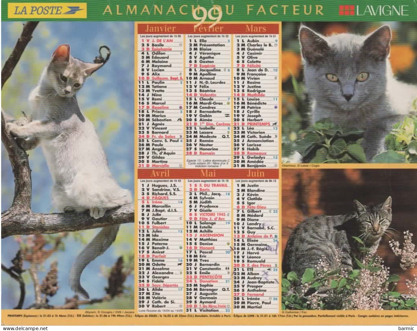 CALENDRIER ANNEE 1999, COMPLET, CHATONS, CHIOTS COULEUR  REF 14383 - Formato Grande : 1991-00