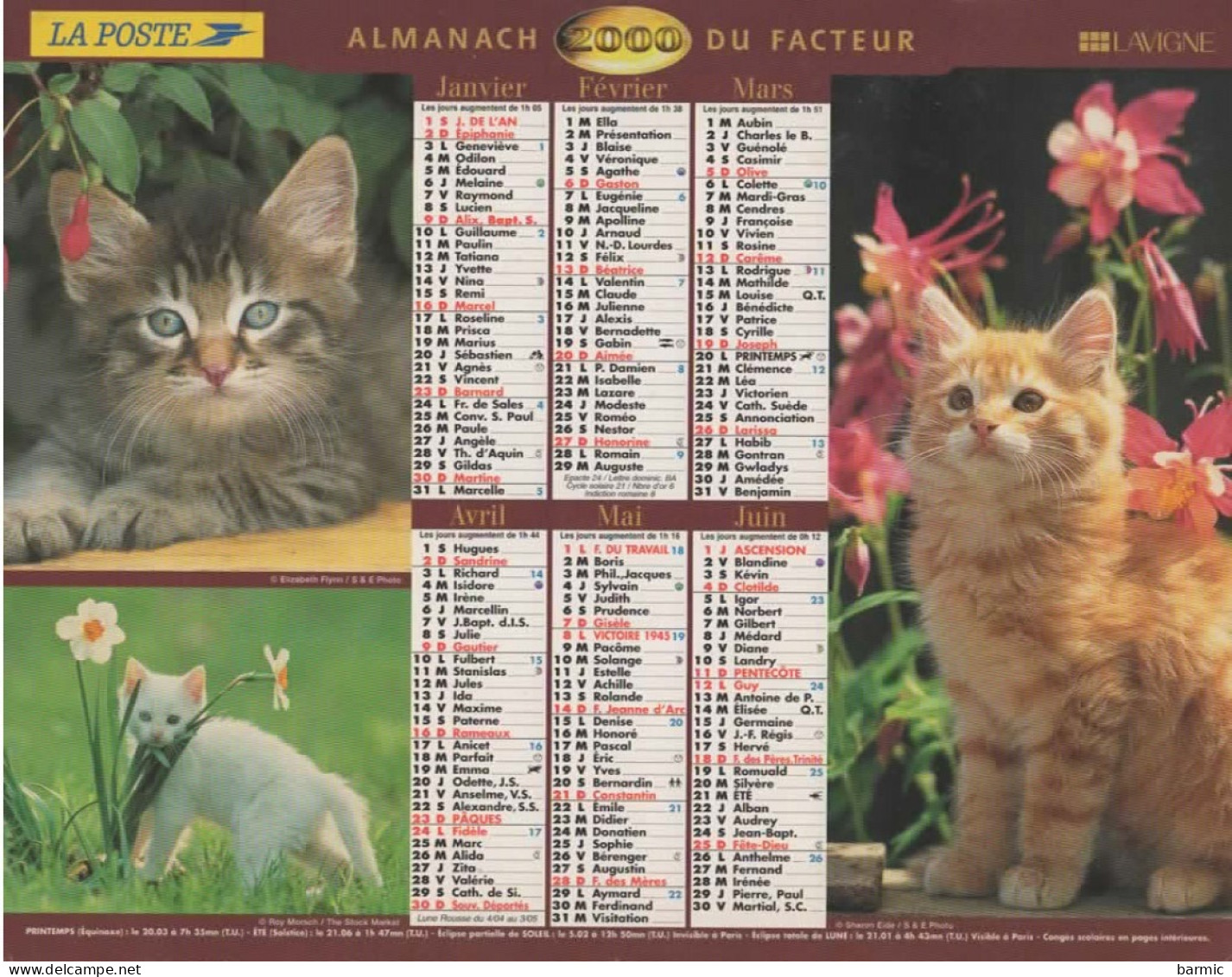 CALENDRIER ANNEE 2000, COMPLET, CHATONS, CHIOTS COULEUR  REF 14384 - Formato Grande : 1991-00