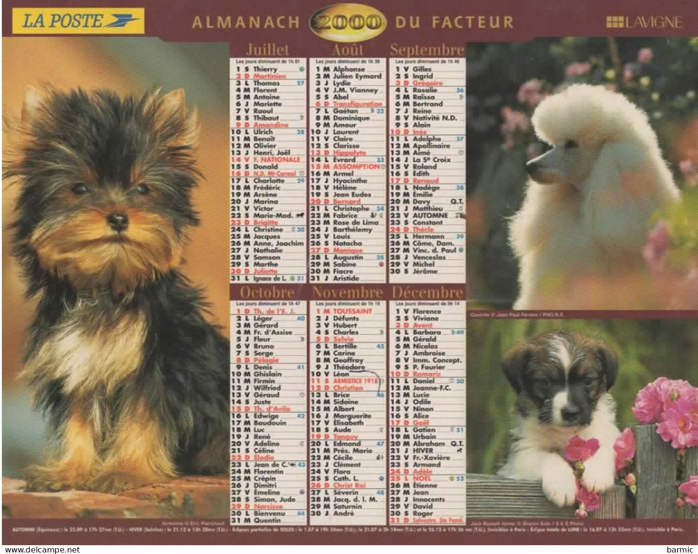 CALENDRIER ANNEE 2000, COMPLET, CHATONS, CHIOTS COULEUR  REF 14384 - Grand Format : 1991-00