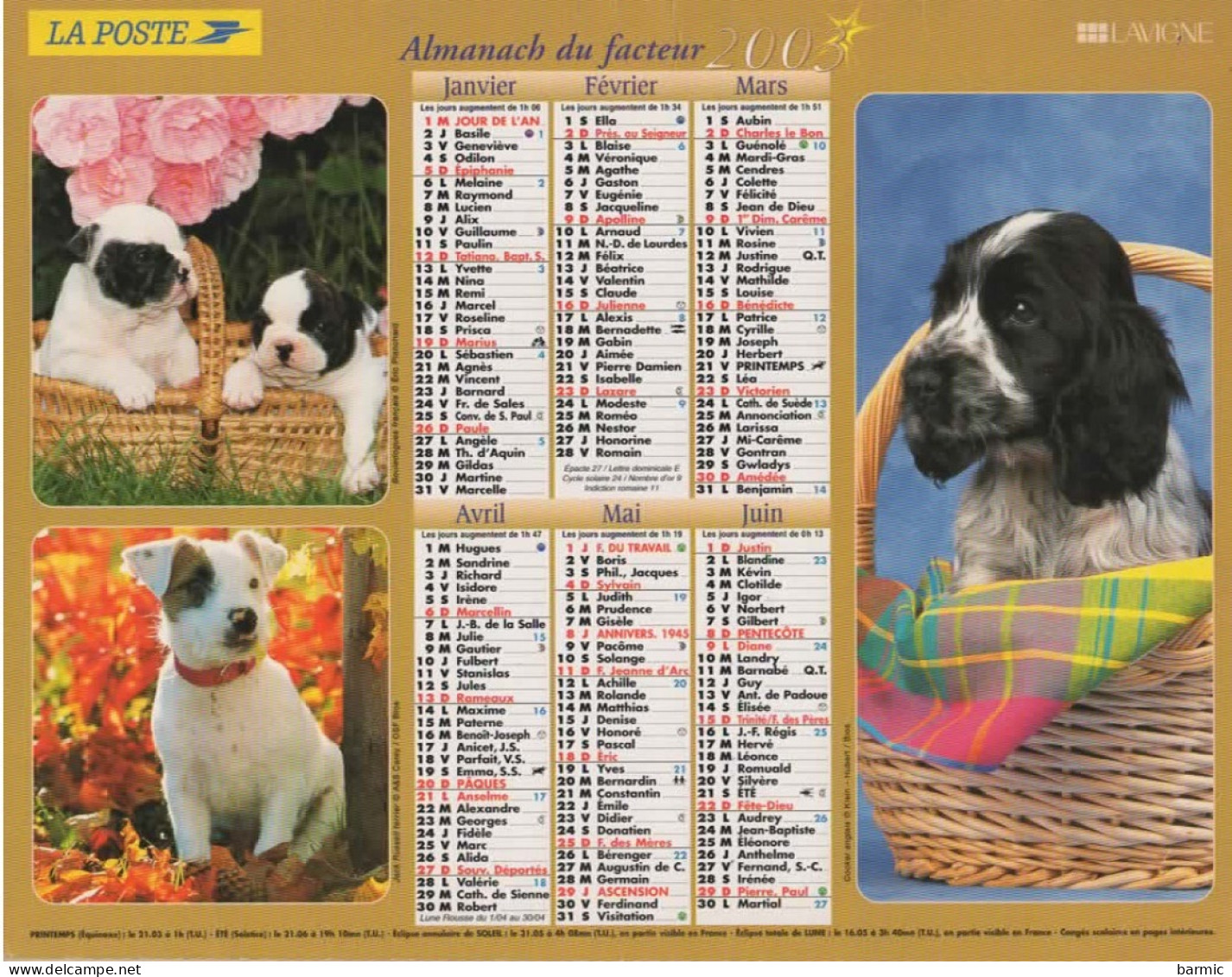 CALENDRIER ANNEE 2003, COMPLET, CHIOTS, CHATONS COULEUR  REF 14387 - Formato Grande : 2001-...