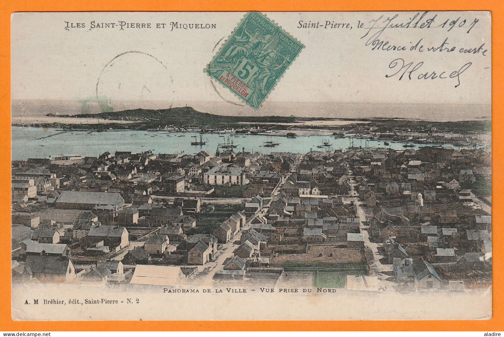 1907 - SPM - Timbre à 5 Centimes Groupe Sage Sur CP Colorisée Vers Le Havre - Panorama De La Ville Vue Du Nord - Lettres & Documents