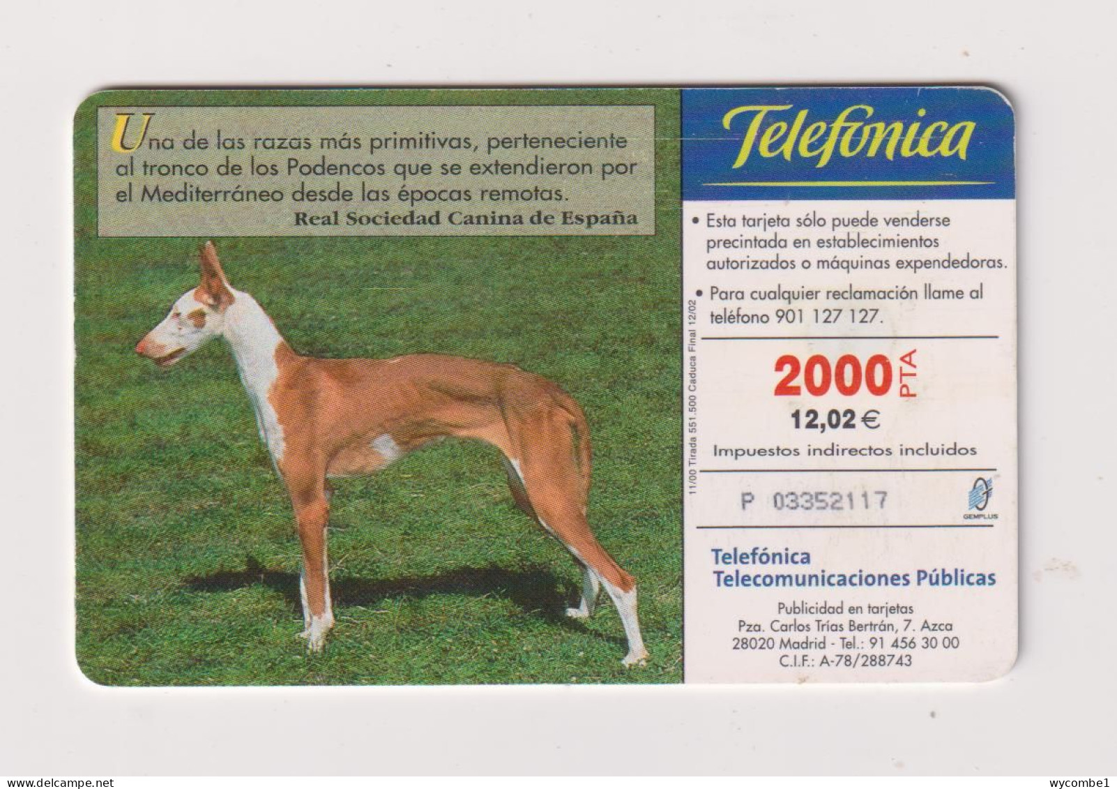 SPAIN - Dogs Podenco Canario Chip Phonecard - Commémoratives Publicitaires