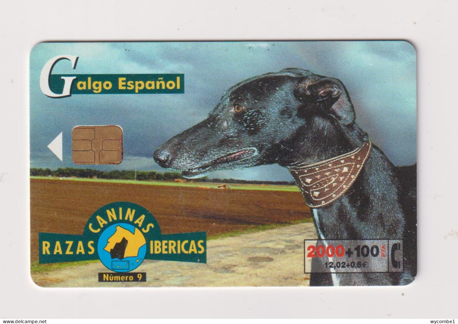 SPAIN - Dog Spanish Greyhound Chip Phonecard - Commemorative Advertisment