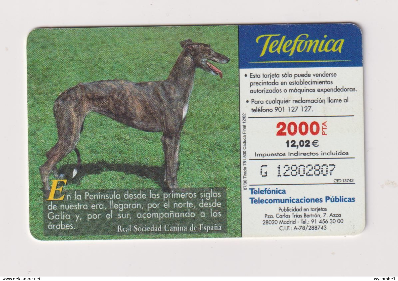 SPAIN - Dog Spanish Greyhound Chip Phonecard - Commemorative Advertisment