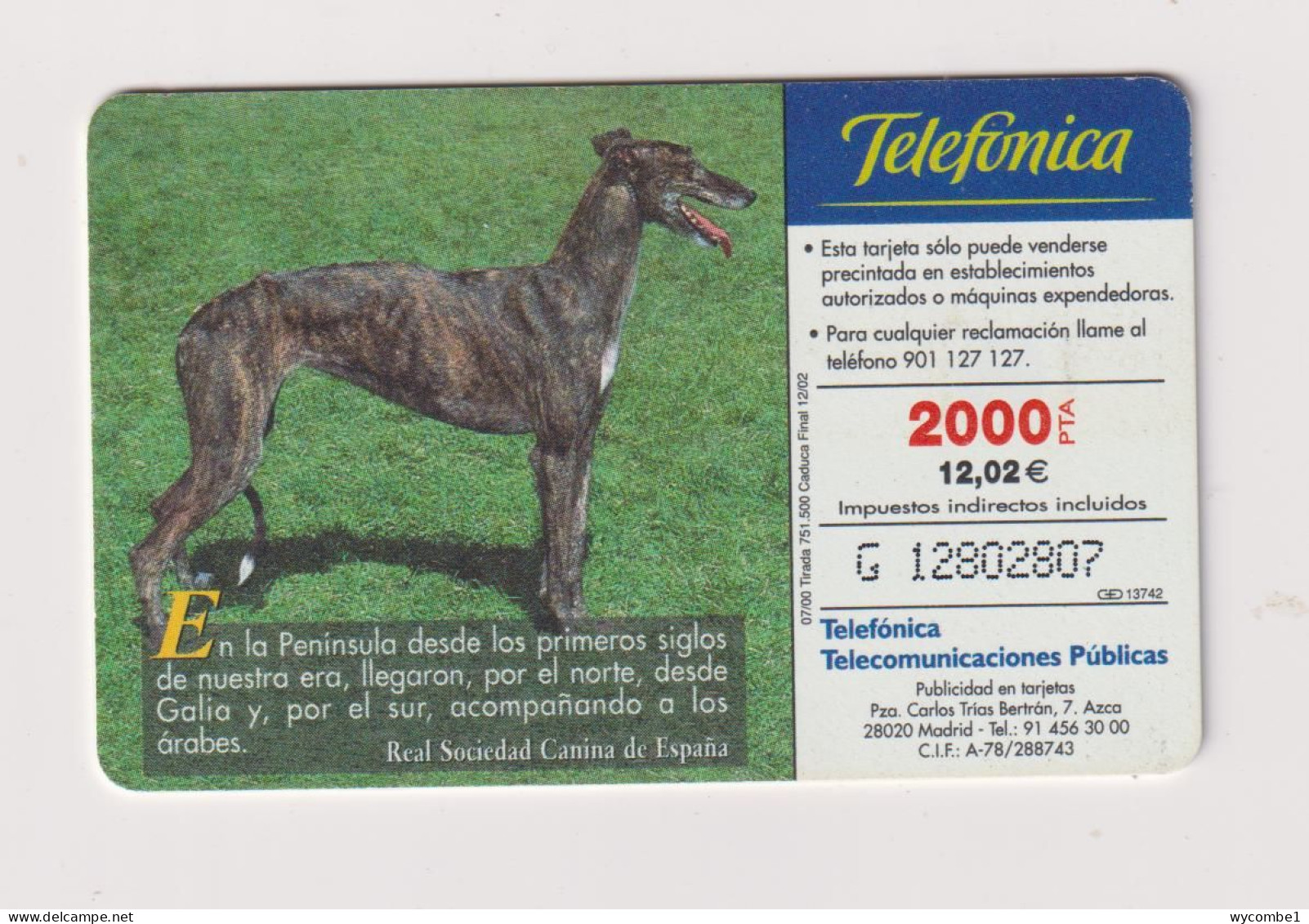 SPAIN - Dog Spanish Greyhound Chip Phonecard - Commémoratives Publicitaires