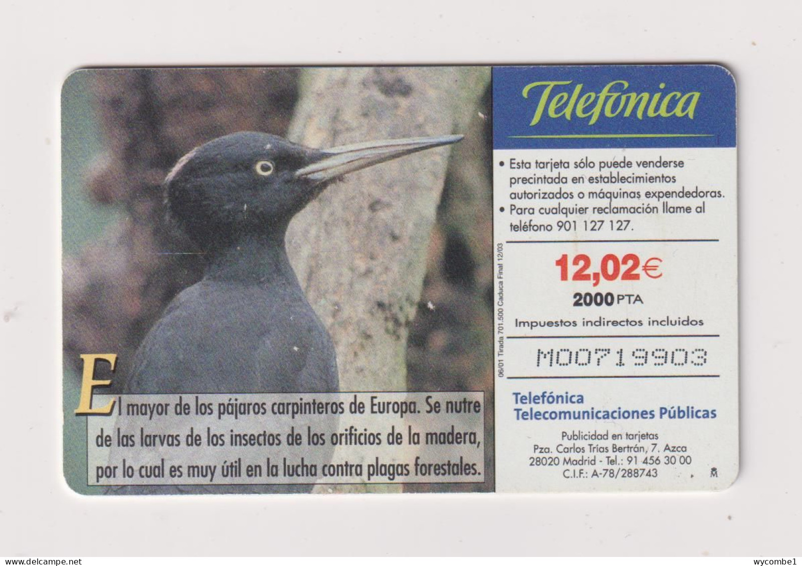 SPAIN - Black Woodpecker Chip Phonecard - Commémoratives Publicitaires