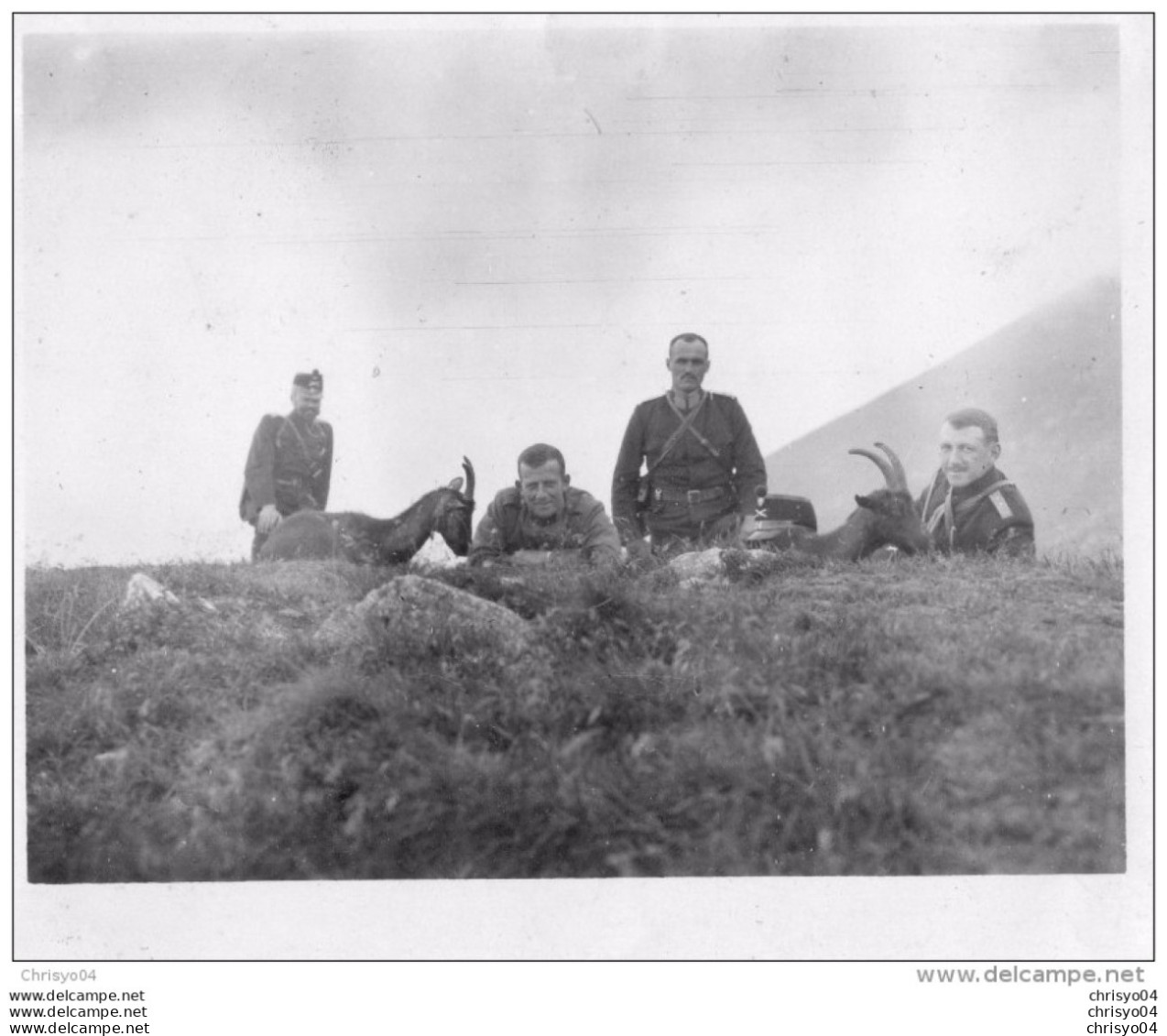 65Cu  Suisse Photo Guerre 14/18 Alpe Di Gesero Les Militaires Et Les Chevres En Aout 1915 - Autres & Non Classés