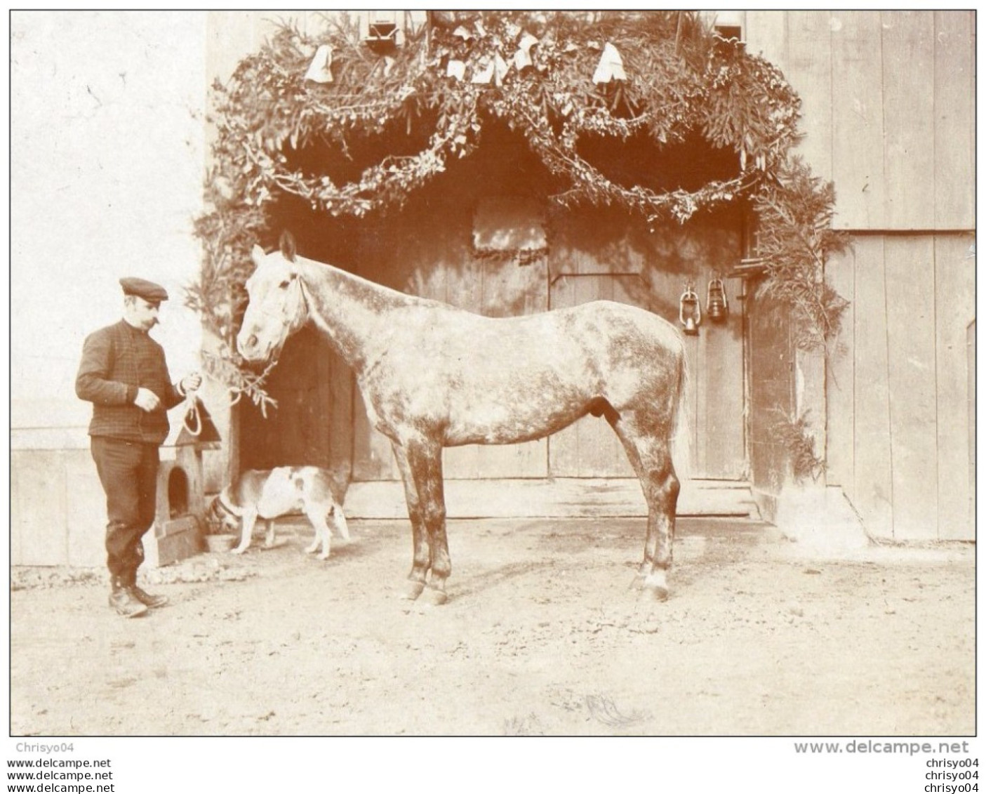 65Cu  Suisse Photo Guerre 14/18 Courroux Porte Décorée Cheval Devant écurie?  En Decembre 1914 - Autres & Non Classés