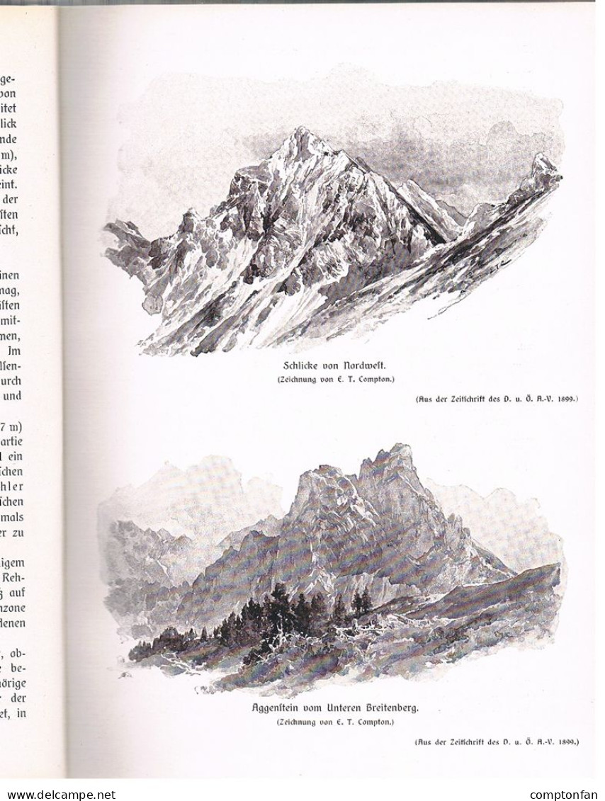 B100 890 Förderreuther Compton Allgäuer Alpen Alpenverein Alpinismus 1907 !! - Alte Bücher