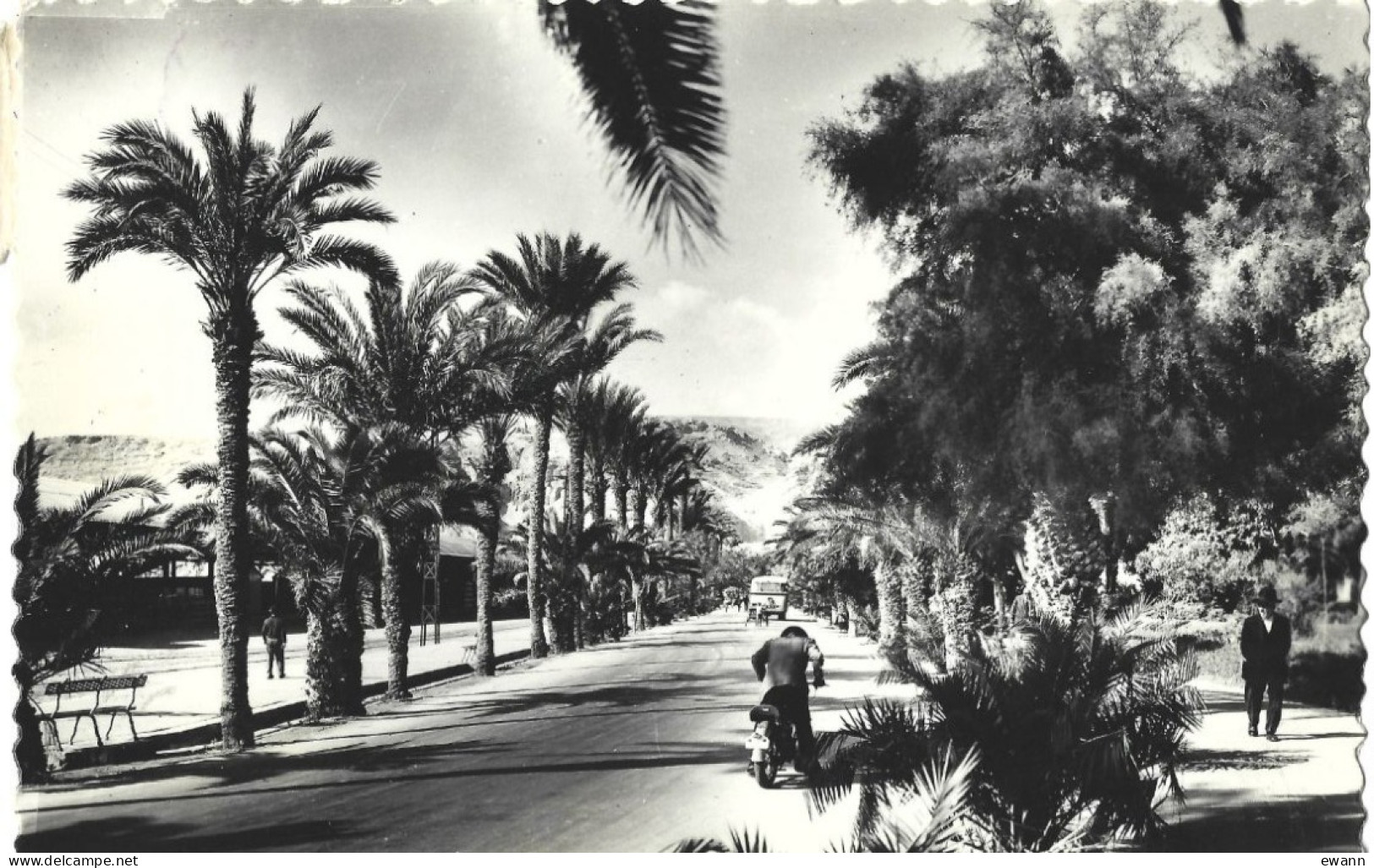 Espagne - Carte Postale - Almeria - Promenade Du Port - Almería