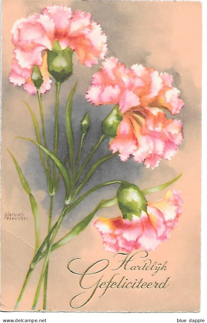 Illustrator - Hannes Petersen - Carnations, œillets, Garofani, Nelken, Flowers, Fleurs, Blumen, Fiori - Petersen, Hannes