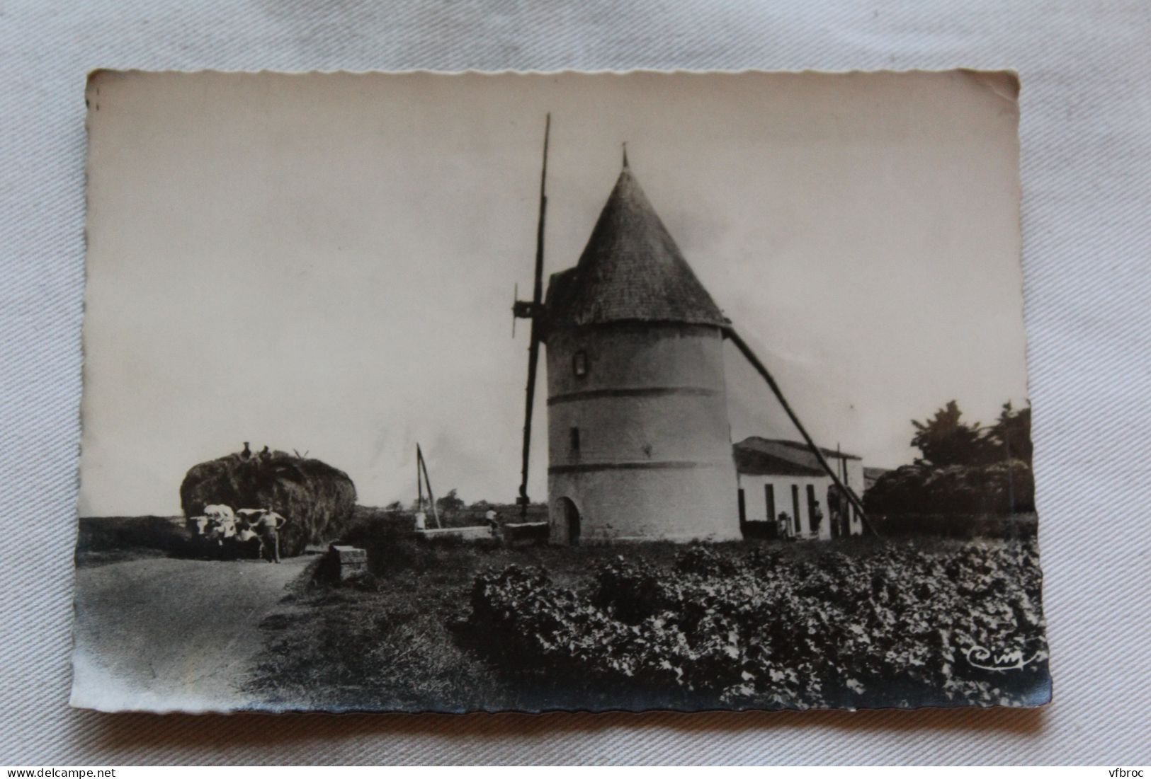 L368, Cpm, Ile D'Oléron, En Flanant Dans L'ile, Charente Maritime 17 - Ile D'Oléron