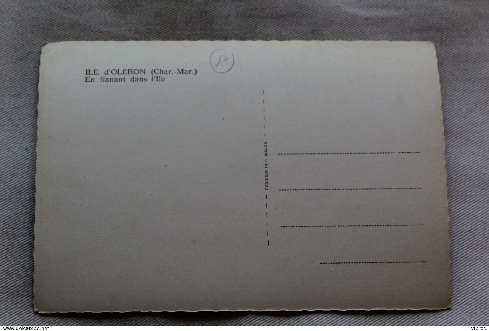 L368, Cpm, Ile D'Oléron, En Flanant Dans L'ile, Charente Maritime 17 - Ile D'Oléron