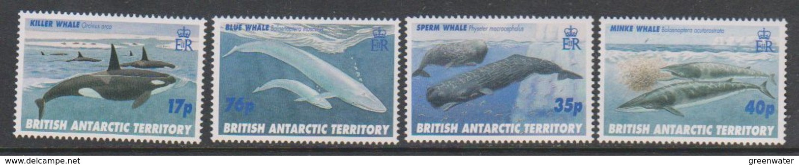 British Antarctic Territory (BAT) 1996 Whales 4v  ** Mnh (59161A) - Unused Stamps