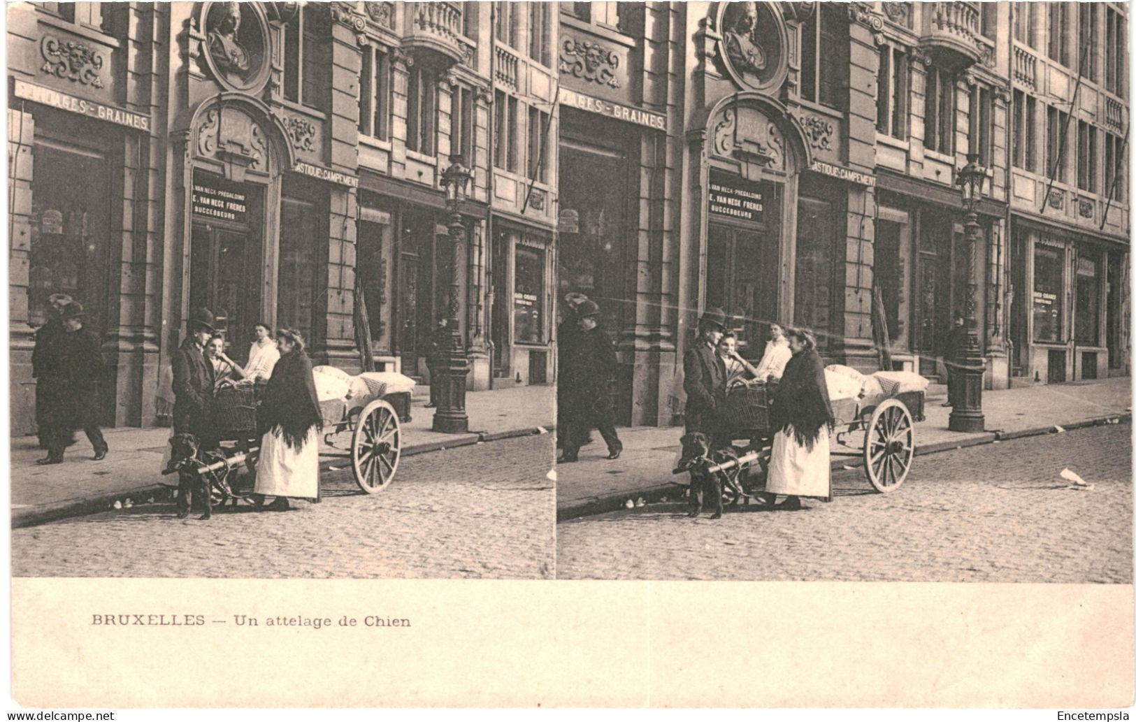 CPA Carte Postale Stéréoscopique  Belgique  Bruxelles  Attelage De Chien  VM77406 - Stereoskopie