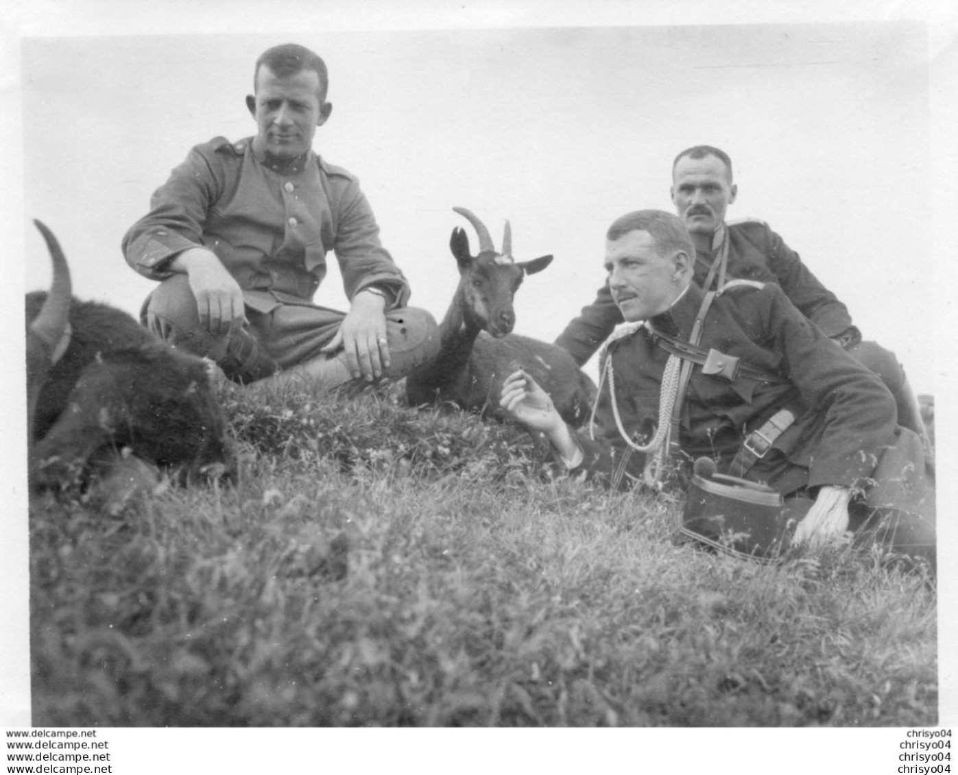 65Cu  Suisse Photo Guerre 14/18 Alpe Di Gesero Les Militaires Et Les Chevres En Aout 1915 - Autres & Non Classés