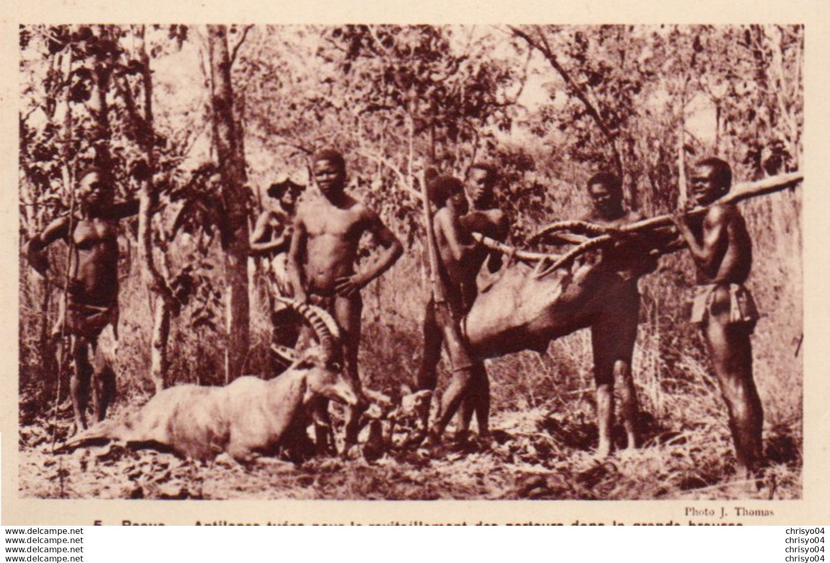 84Vn   Centrafrique Paoua Antilopes Tuées Pour Les Porteurs Chasse Chasseurs - Centrafricaine (République)