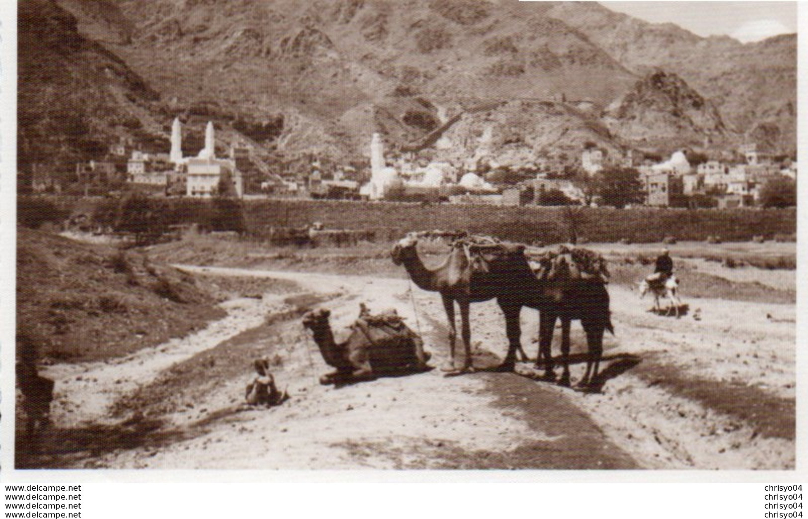 95Bv  Yémen Photo De Taiz Ou Environs Vue Sur La Ville Chameliers - Jemen