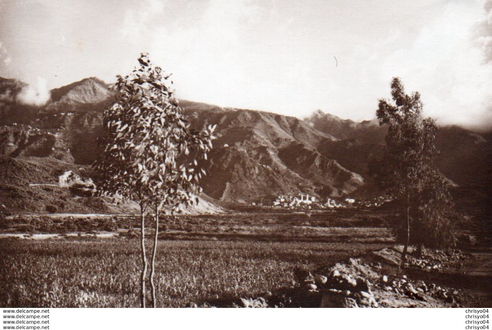 95Bv  Yémen Grande Photo De Taiz Ou Environs Vue Generale - Jemen