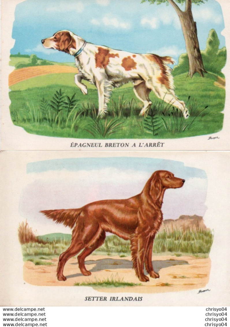 910Cr  Lot De 2 Buvards Laboratoires Biolactyl Chasse Chien épagneul Setter - Drogerie & Apotheke