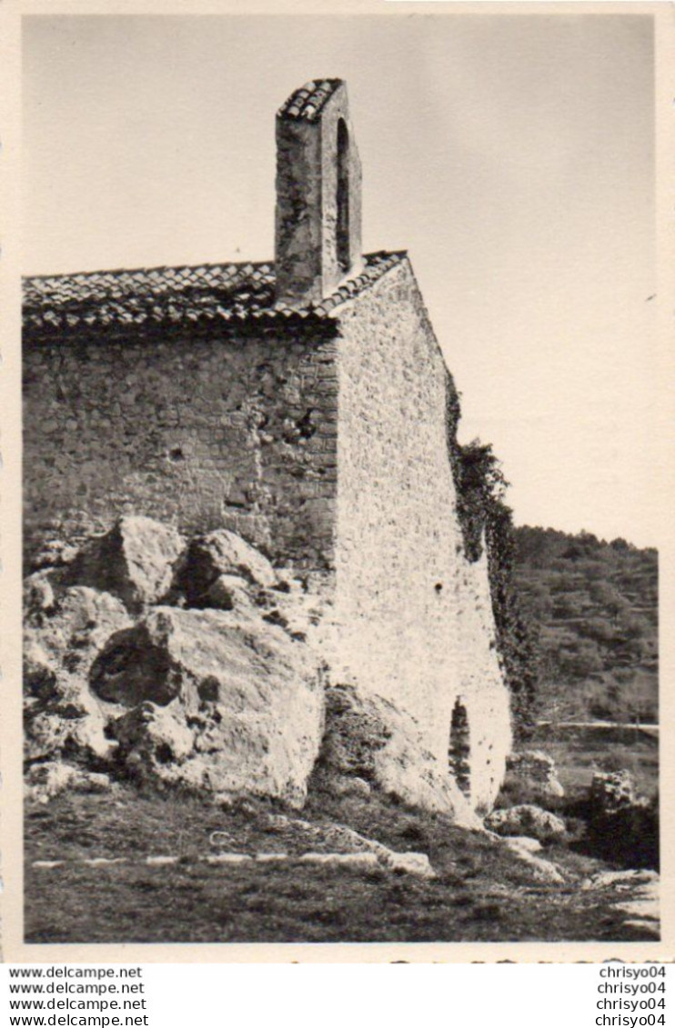 V10 46Or  83 Montauroux Carte Photo D'art La Chapelle En TBE - Montauroux