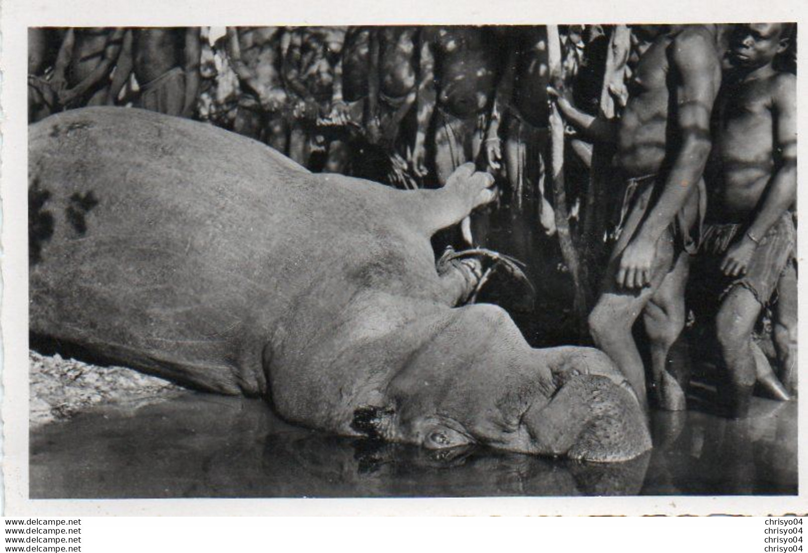 1V12 35F  Niger Chasse à L'hippopotame - Niger