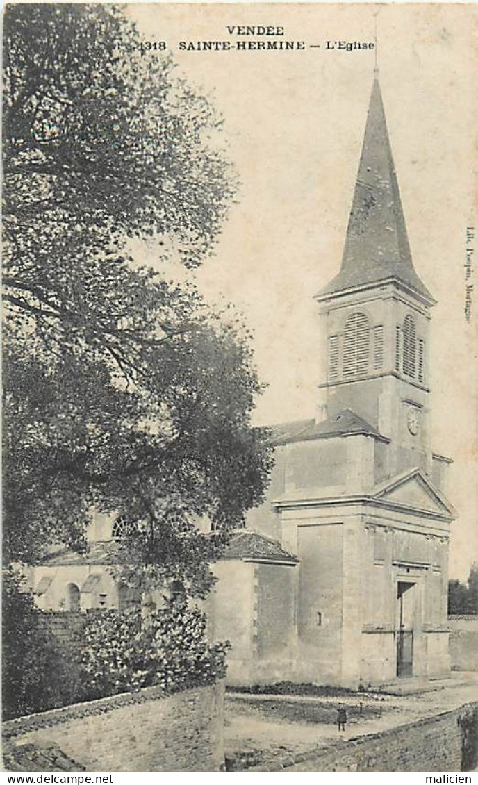 - Vendée -ref-F135- Sainte Hermine - Ste Hermine - L Eglise - - Sainte Hermine