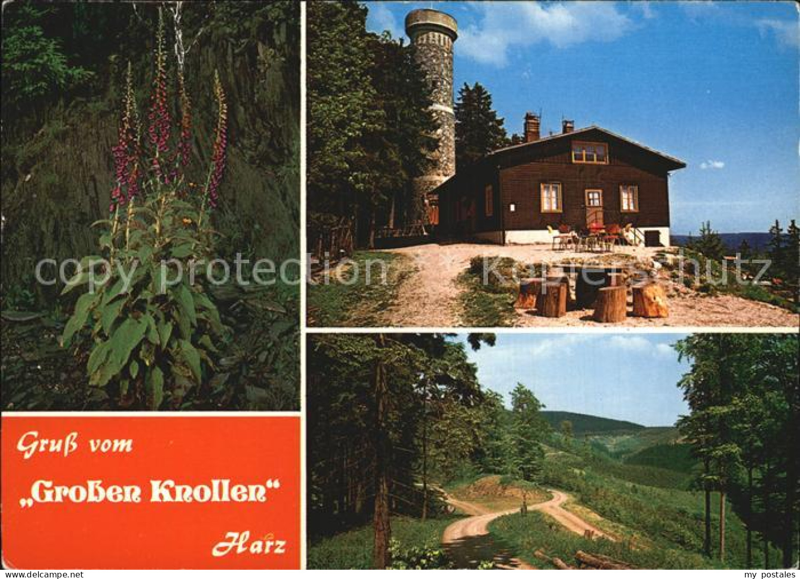 72421306 Herzberg Harz Wanderhuette Grosser Knollen Aussichtsturm Landschaft Blu - Herzberg