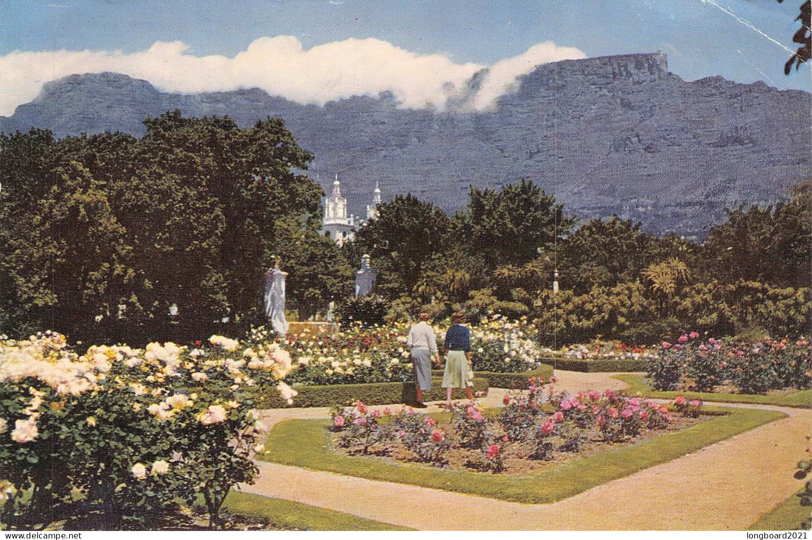 SOUTH AFRICA - PICTURE POSTCARD 1966 - MANNHEIM/DE / 5229 - Covers & Documents