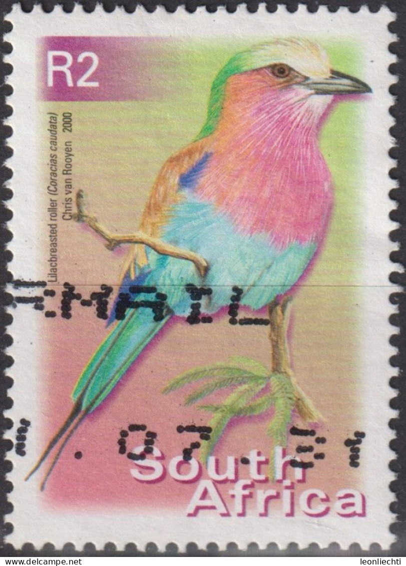 2000 Südafrika ° Mi:ZA 1304A, Sn:ZA 1192, Yt:ZA 1127V, Lilac-brested Roller (Coracias Caudata), Vögel - Usados