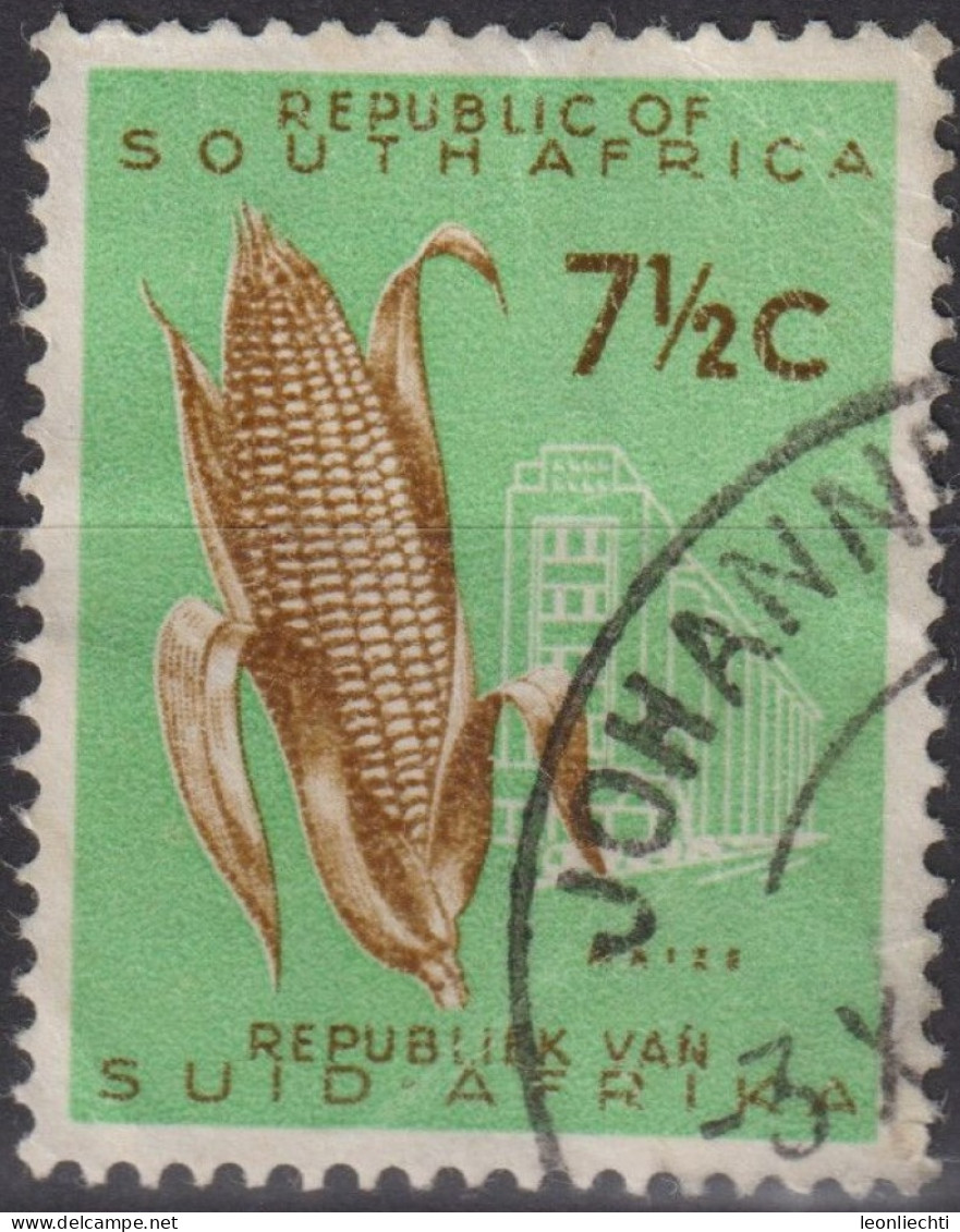 1962 Südafrika ° Mi:ZA 305, Sn:ZA 274, Yt:ZA 270, Maize (Zea Mays), Country Themes - Without Wmk - Oblitérés