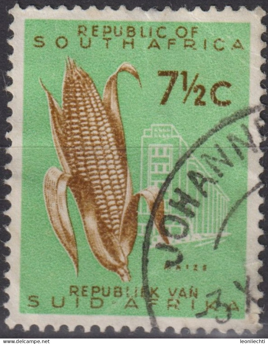 1962 Südafrika ° Mi:ZA 305, Sn:ZA 274, Yt:ZA 270, Maize (Zea Mays), Country Themes - Without Wmk - Usati