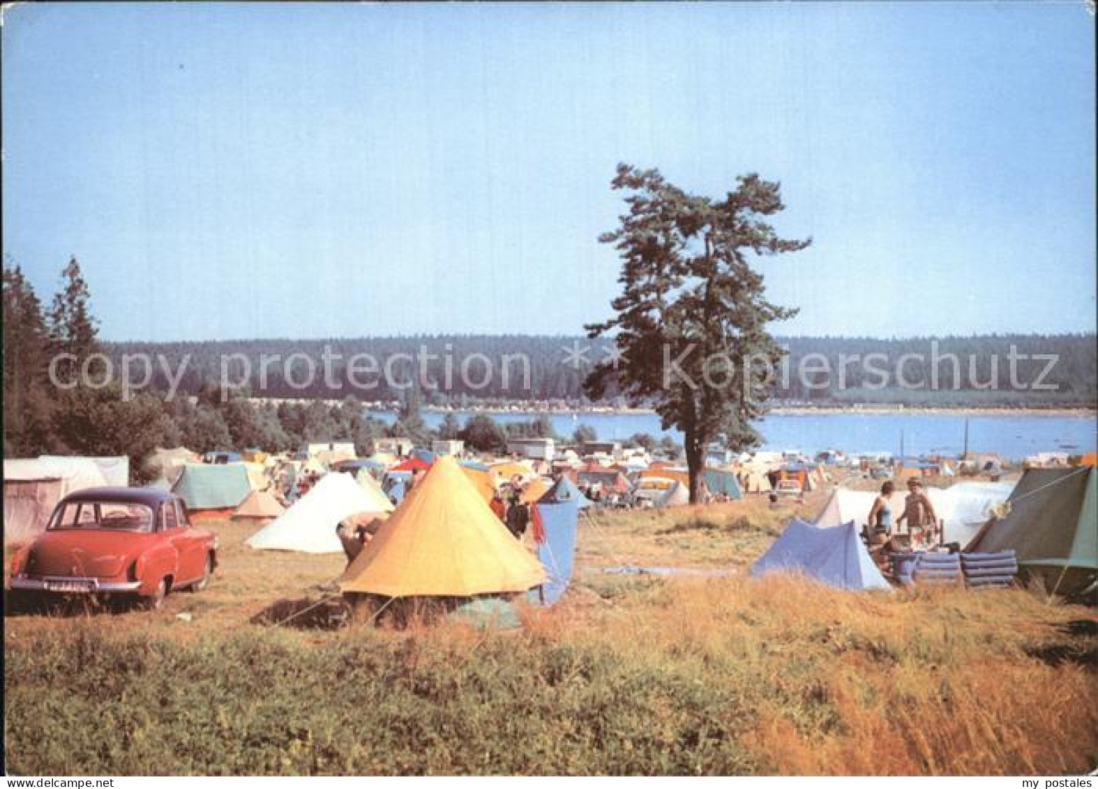 72418389 Ehrenfriedersdorf Erzgebirge Greifenbachstauweiher Mit Campingplatz Ehr - Ehrenfriedersdorf