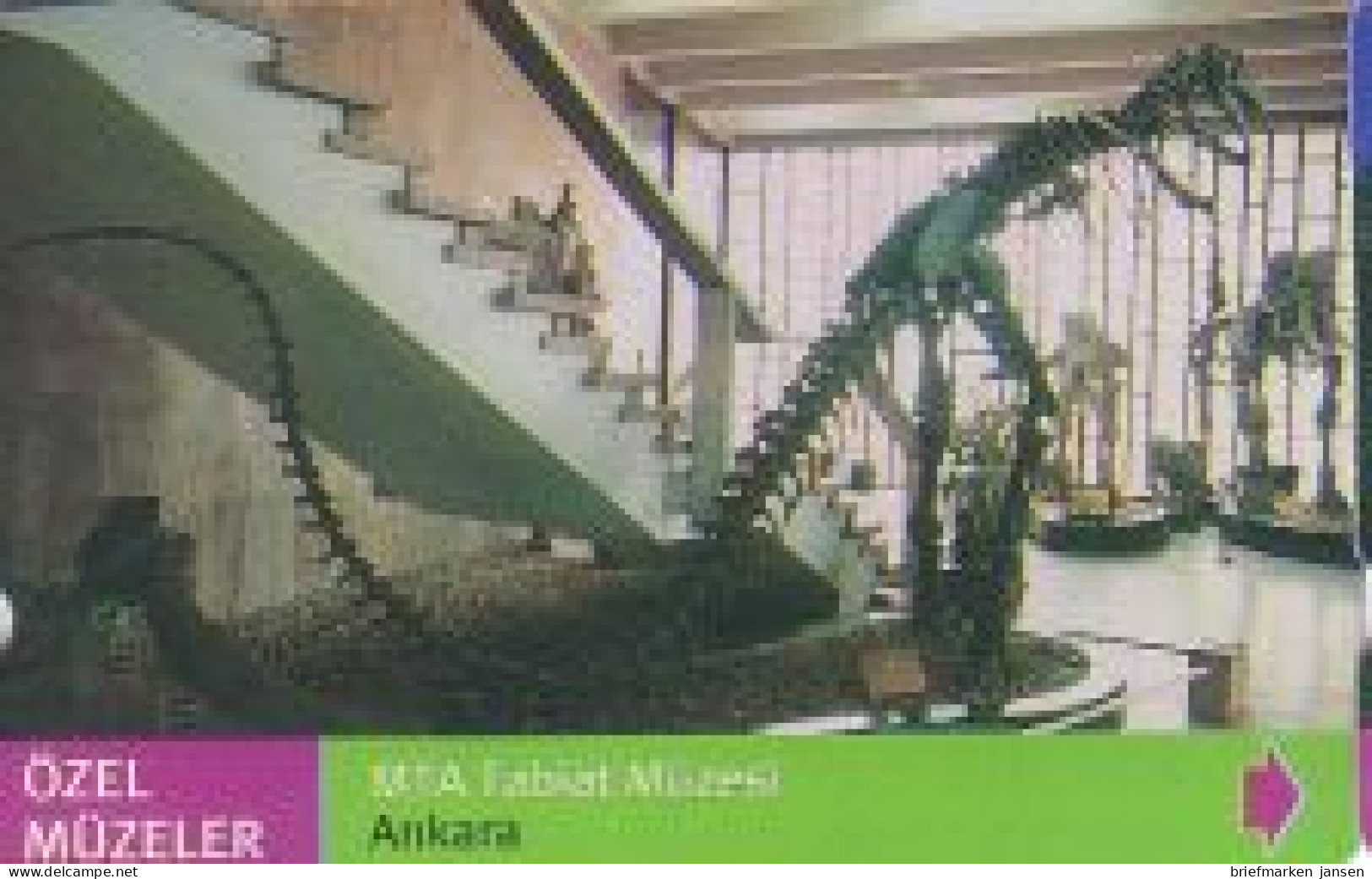 Telefonkarte Türkei, Dinosaurier Skelett Ankara, 30 - Unclassified
