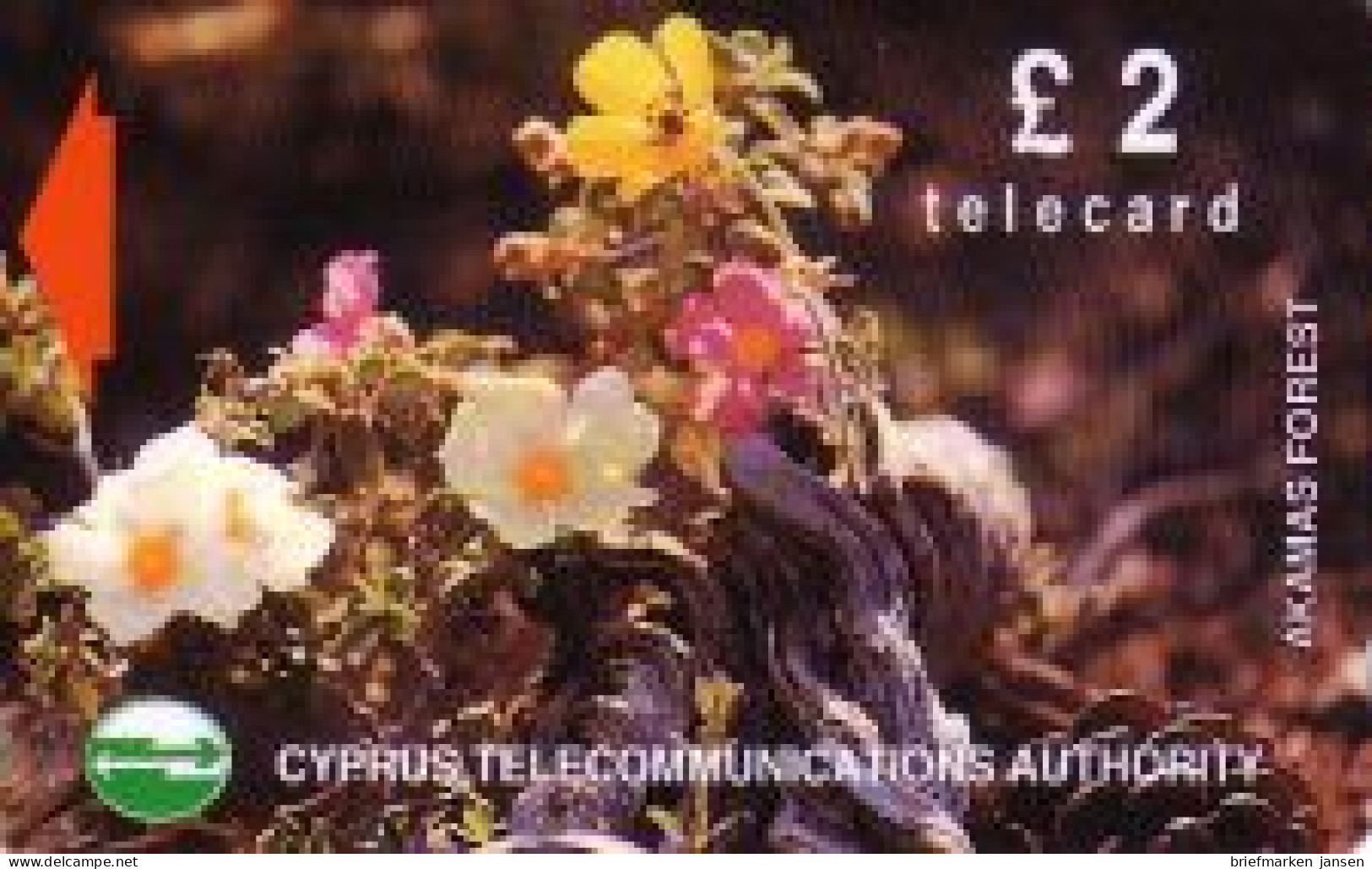 Telefonkarte Zypern, Pflanzen Akamas Forest (1), 2 - Non Classificati